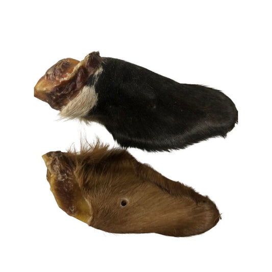 Runderoren met haar & dikke vleespit