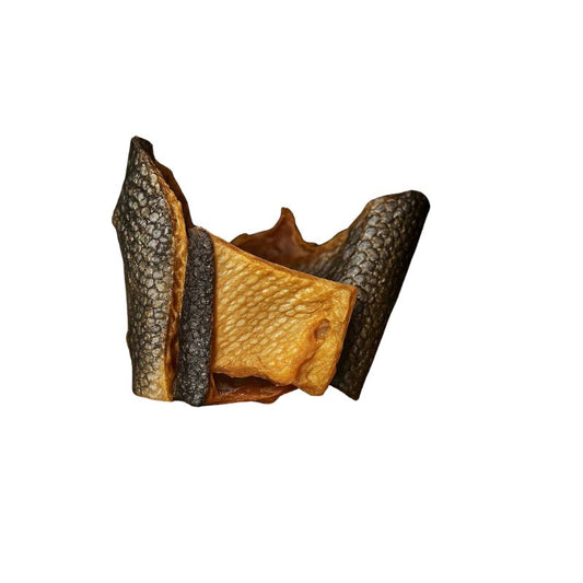 Zalmhuid met filet